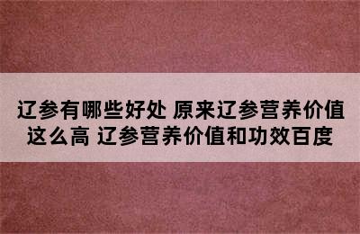 辽参有哪些好处 原来辽参营养价值这么高 辽参营养价值和功效百度